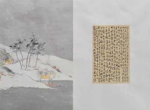 落花诗册 唐寅原文字帖，落花诗帖