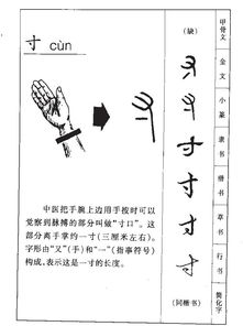 寸拼音怎么读，携拼音