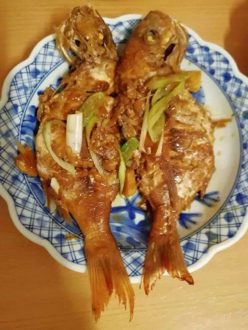 鲖鱼的介绍