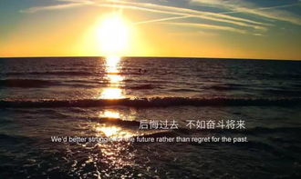 感召的意思是什么