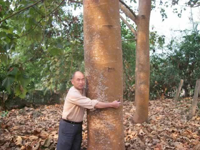 文言文阅读《樊重树木》题目及答案
