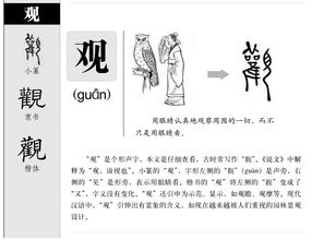观笔顺笔画