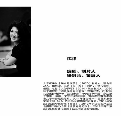 不容分说的意思