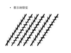错觉是什么意思