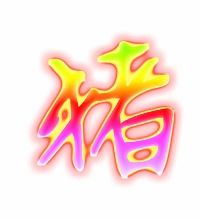猪该怎么组词?