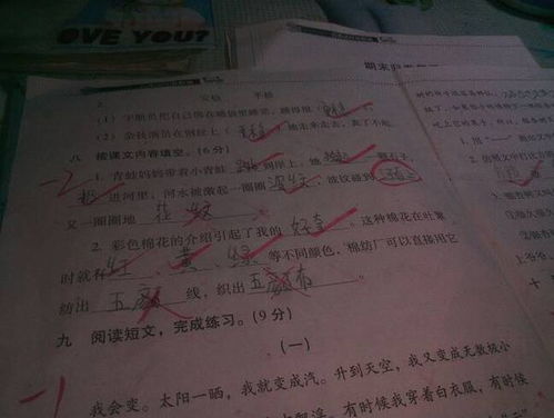 荡部首查字法先查什么再查什么，荡部首结构