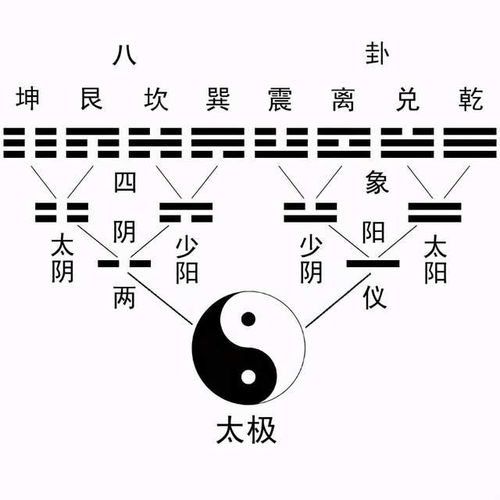 太极生两仪 两仪生四象，太极生两仪图片