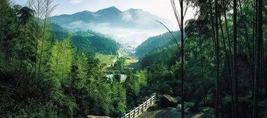 梅岭多高，梅岭天气
