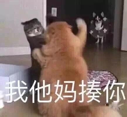 目光如炬是什么意思猜什么生肖，目光如炬下一句一般怎么说