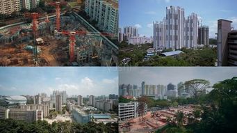 万丈高楼平地起下一句对接句，万丈高楼平地起下一句网络流行语