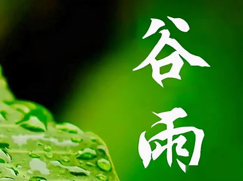 深情厚意与深情厚谊哪个对?