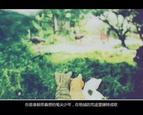 有所期诺下一句是什么。