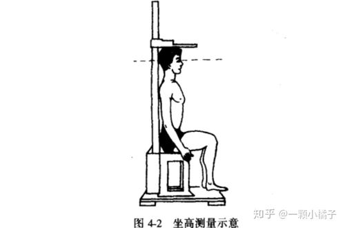 如何测量儿童的坐高