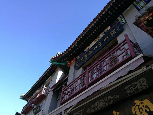 哏儿广播剧，哏儿小说免费阅读
