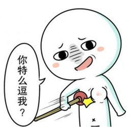 毋庸置疑什么意思啊?