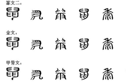 属的部首是，鼠的部首查字法怎么查