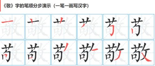 国的笔顺怎么写?