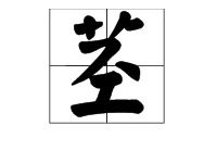根茎的读音，一茎茎的读音