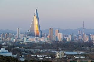 柳京号交易平台靠谱吗