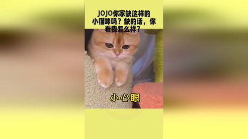 咪字怎么拼?