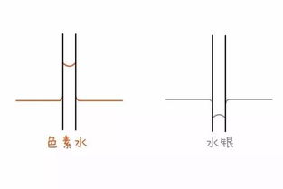 毛细现象是什么