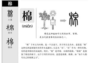棉组词一年级下册，绵组词