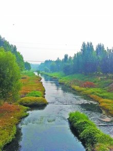 《枯河》 莫言 故事内容是什么?故事中的变异以及叙事策略是什么_百度知