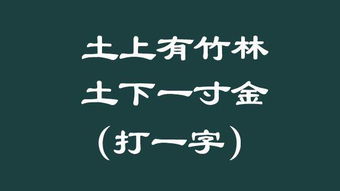 我没有他有天没有地有打一字谜 正确答案，一公一母打一字