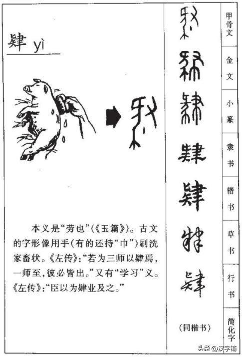 肄业什么意思?