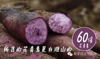 多子家庭真的是件好事吗?