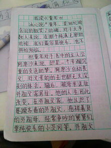 征文是什么意思?