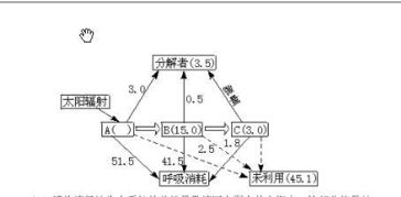 生物学中什么是同化作用什么是异化作用?