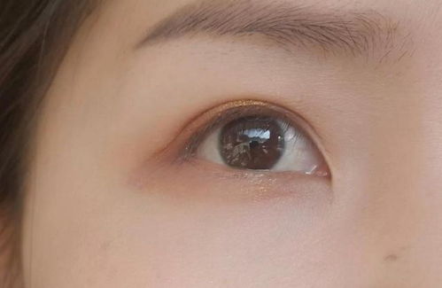 低眉顺眼的意思和拼音，低眉顺眼的意思怎么解释