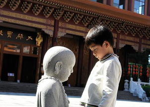 盛情心领了是什么意思，对方说心意领了我该怎么回复
