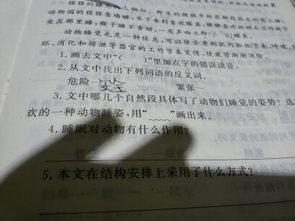 紧张的反义词是什么 标准答案，紧张的反义词是镇定吗