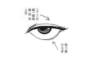眼眶读音正确读音，眼眶读音和意思