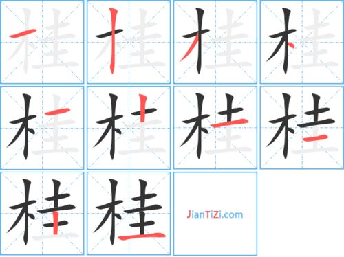 棒的笔顺，桂的笔顺组词