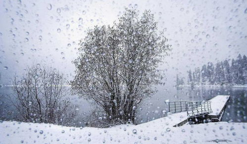 你觉得冬天的雨怎么样?
