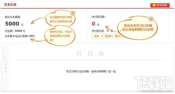 白条是什么