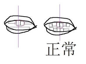 狗狗多大可以用齿能洁齿骨?