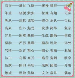 用编织的编组词
