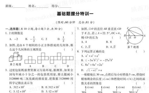集中近义词是什么