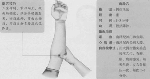 曲泽的准确位置视频 曲泽的作用与好处