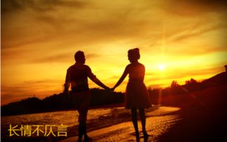 仄言是什么意思