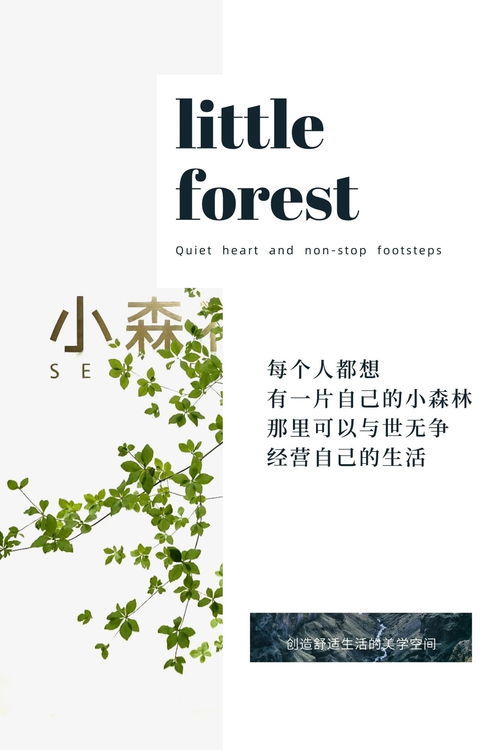 安适的拼音