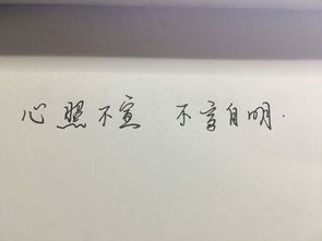 什么不什么言成语有哪些，什么不什么言?