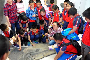 兴致勃勃地什么填词二年级，儿童散学早早归来,兴致勃勃地什么