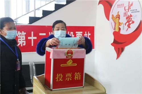 选举权力还是选举权利