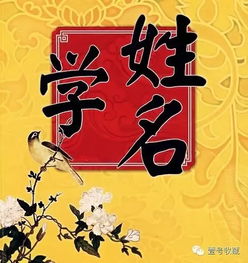 煊字取名好不好吉凶?煊配什么字最好男孩