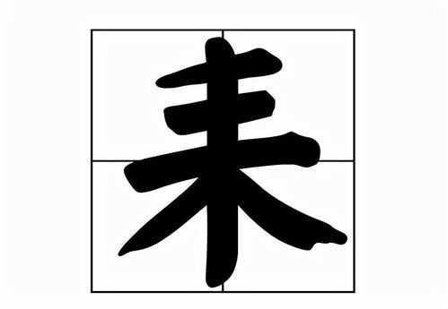 耒怎么读?